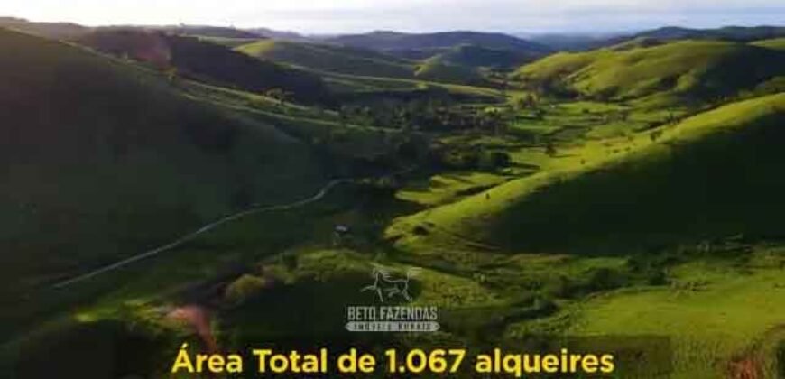 Excelente Fazenda 2.582 hectares à Venda Boiadeira Pecuária | Região de São José dos Campos/ SP