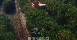 Fazenda de Café 786,88 hectares com Dupla Aptidão e Infraestrutura Completa | Região de Garça/ SP Fazenda de Café 786,88 hectares com Dupla Aptidão e Infraestrutura Completa | Região de Garça/ SP