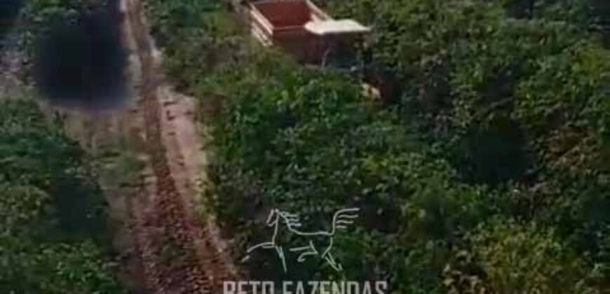Fazenda de Café 786,88 hectares com Dupla Aptidão e Infraestrutura Completa | Região de Garça/ SP Fazenda de Café 786,88 hectares com Dupla Aptidão e Infraestrutura Completa | Região de Garça/ SP