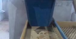 Fazenda de Café 786,88 hectares com Dupla Aptidão e Infraestrutura Completa | Região de Garça/ SP Fazenda de Café 786,88 hectares com Dupla Aptidão e Infraestrutura Completa | Região de Garça/ SP