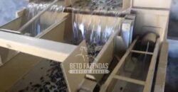 Fazenda de Café 786,88 hectares com Dupla Aptidão e Infraestrutura Completa | Região de Garça/ SP Fazenda de Café 786,88 hectares com Dupla Aptidão e Infraestrutura Completa | Região de Garça/ SP