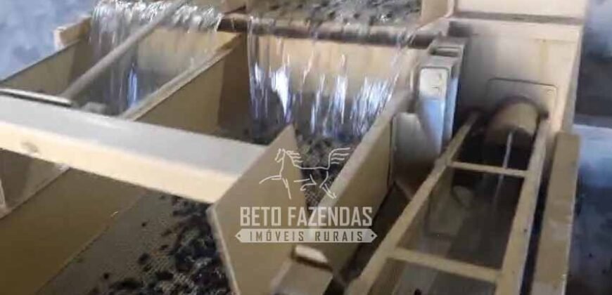 Fazenda de Café 786,88 hectares com Dupla Aptidão e Infraestrutura Completa | Região de Garça/ SP Fazenda de Café 786,88 hectares com Dupla Aptidão e Infraestrutura Completa | Região de Garça/ SP