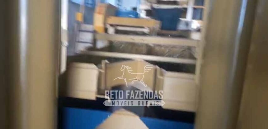 Fazenda de Café 786,88 hectares com Dupla Aptidão e Infraestrutura Completa | Região de Garça/ SP Fazenda de Café 786,88 hectares com Dupla Aptidão e Infraestrutura Completa | Região de Garça/ SP