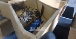 Fazenda de Café 786,88 hectares com Dupla Aptidão e Infraestrutura Completa | Região de Garça/ SP Fazenda de Café 786,88 hectares com Dupla Aptidão e Infraestrutura Completa | Região de Garça/ SP