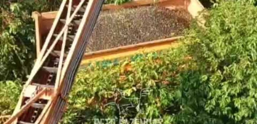 Fazenda de Café 786,88 hectares com Dupla Aptidão e Infraestrutura Completa | Região de Garça/ SP Fazenda de Café 786,88 hectares com Dupla Aptidão e Infraestrutura Completa | Região de Garça/ SP