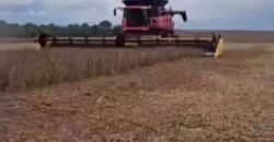 Mega Fazenda à Venda 13.800 Has Soja e Arroz Estrutura Completa | Região do Xingu/ MT