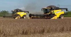 Mega Fazenda à Venda 13.800 Has Soja e Arroz Estrutura Completa | Região do Xingu/ MT