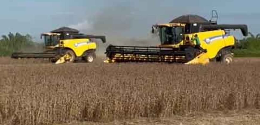 Mega Fazenda à Venda 13.800 Has Soja e Arroz Estrutura Completa | Região do Xingu/ MT