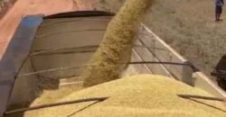 Mega Fazenda à Venda 13.800 Has Soja e Arroz Estrutura Completa | Região do Xingu/ MT