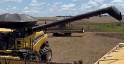 Mega Fazenda à Venda 13.800 Has Soja e Arroz Estrutura Completa | Região do Xingu/ MT