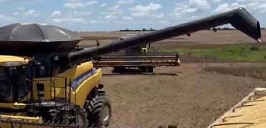 Mega Fazenda à Venda 13.800 Has Soja e Arroz Estrutura Completa | Região do Xingu/ MT
