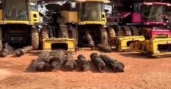 Mega Fazenda à Venda 13.800 Has Soja e Arroz Estrutura Completa | Região do Xingu/ MT