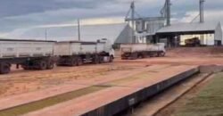 Mega Fazenda à Venda 13.800 Has Soja e Arroz Estrutura Completa | Região do Xingu/ MT