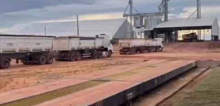 Mega Fazenda à Venda 13.800 Has Soja e Arroz Estrutura Completa | Região do Xingu/ MT