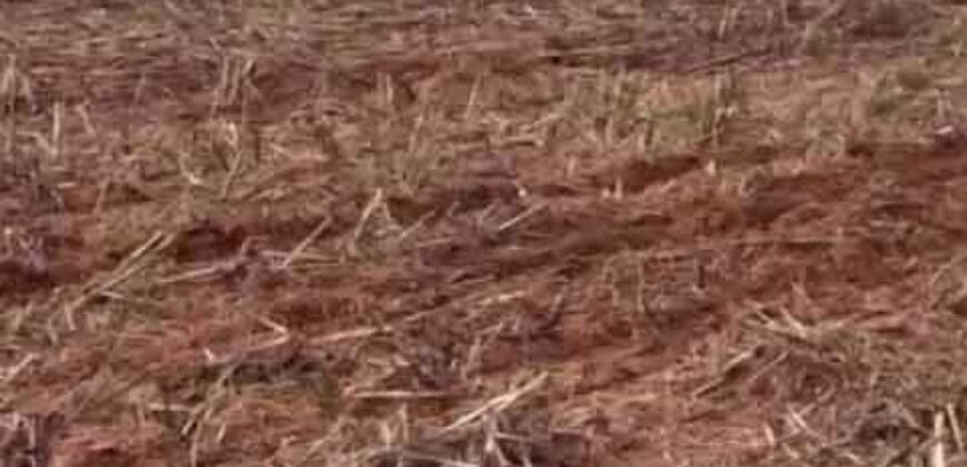 Mega Fazenda à Venda 13.800 Has Soja e Arroz Estrutura Completa | Região do Xingu/ MT