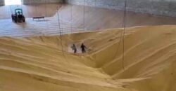 Mega Fazenda à Venda 13.800 Has Soja e Arroz Estrutura Completa | Região do Xingu/ MT