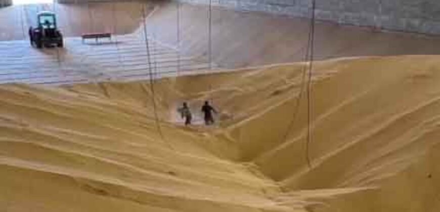 Mega Fazenda à Venda 13.800 Has Soja e Arroz Estrutura Completa | Região do Xingu/ MT