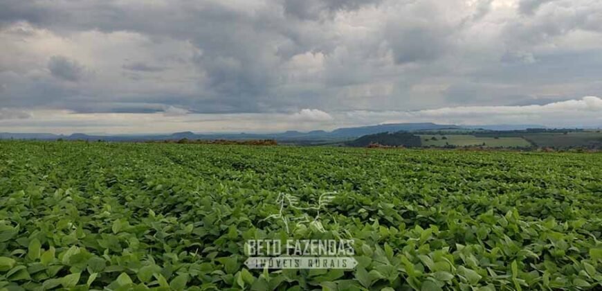 Fazenda para Investimento 735 Hectares Toda em Cana-de-Açúcar | Ribeirão Preto/SP