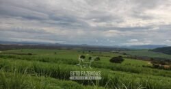 Fazenda para Investimento 735 Hectares Toda em Cana-de-Açúcar | Ribeirão Preto/SP