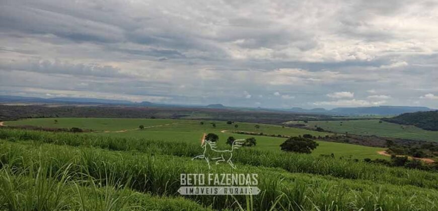 Fazenda para Investimento 735 Hectares Toda em Cana-de-Açúcar | Ribeirão Preto/SP