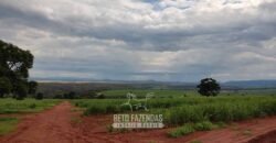 Fazenda para Investimento 735 Hectares Toda em Cana-de-Açúcar | Ribeirão Preto/SP