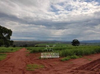 Fazenda para Investimento 735 Hectares Toda em Cana-de-Açúcar | Ribeirão Preto/SP