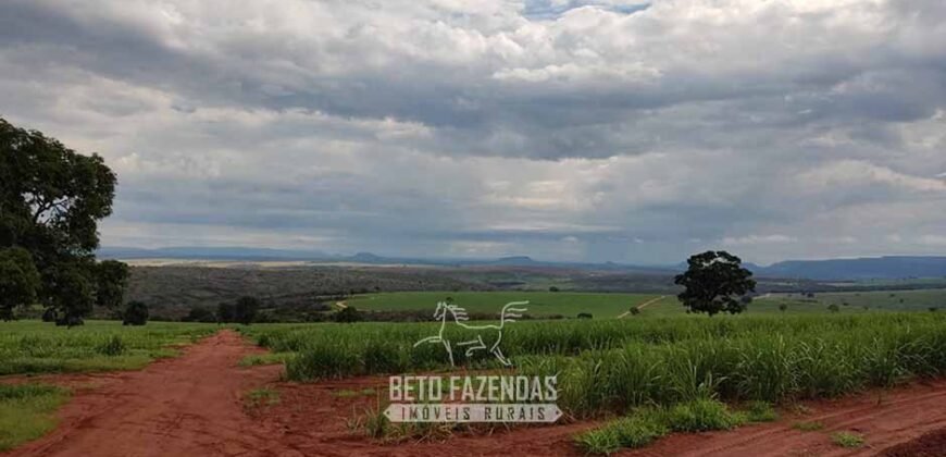 Fazenda para Investimento 735 Hectares Toda em Cana-de-Açúcar | Ribeirão Preto/SP