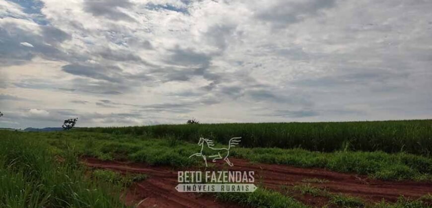 Fazenda para Investimento 735 Hectares Toda em Cana-de-Açúcar | Ribeirão Preto/SP