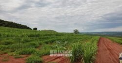 Fazenda para Investimento 735 Hectares Toda em Cana-de-Açúcar | Ribeirão Preto/SP