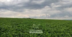 Fazenda para Investimento 735 Hectares Toda em Cana-de-Açúcar | Ribeirão Preto/SP