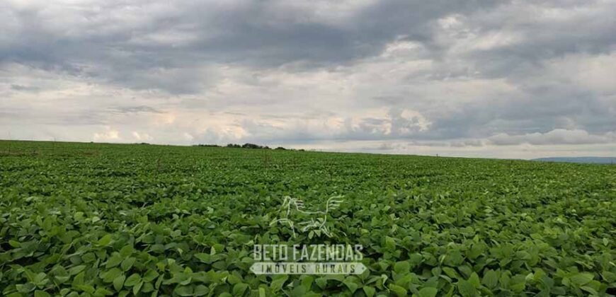 Fazenda para Investimento 735 Hectares Toda em Cana-de-Açúcar | Ribeirão Preto/SP