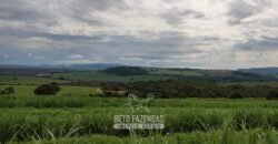 Fazenda para Investimento 735 Hectares Toda em Cana-de-Açúcar | Ribeirão Preto/SP
