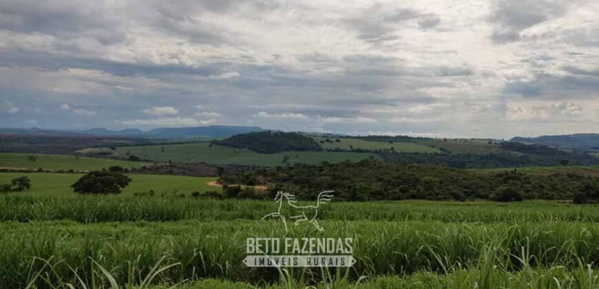 Fazenda para Investimento 735 Hectares Toda em Cana-de-Açúcar | Ribeirão Preto/SP