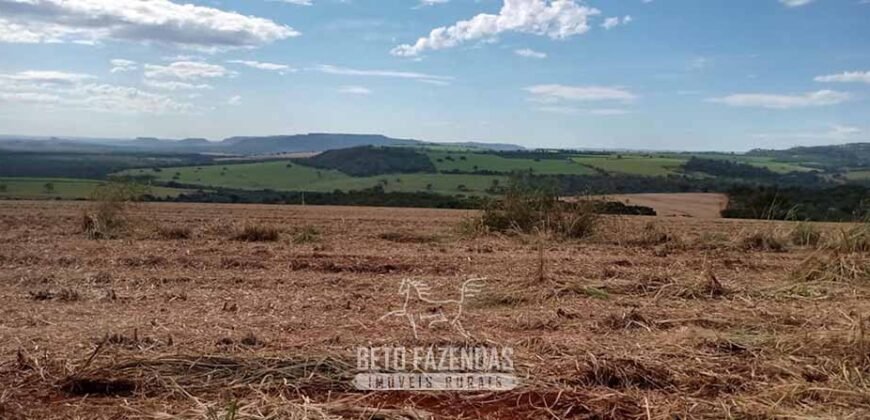 Fazenda para Investimento 735 Hectares Toda em Cana-de-Açúcar | Ribeirão Preto/SP