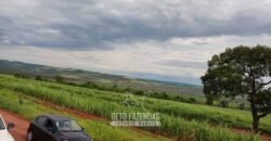 Fazenda para Investimento 735 Hectares Toda em Cana-de-Açúcar | Ribeirão Preto/SP