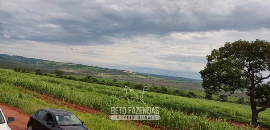 Fazenda para Investimento 735 Hectares Toda em Cana-de-Açúcar | Ribeirão Preto/SP