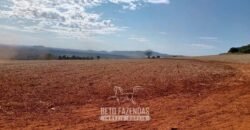 Fazenda para Investimento 735 Hectares Toda em Cana-de-Açúcar | Ribeirão Preto/SP