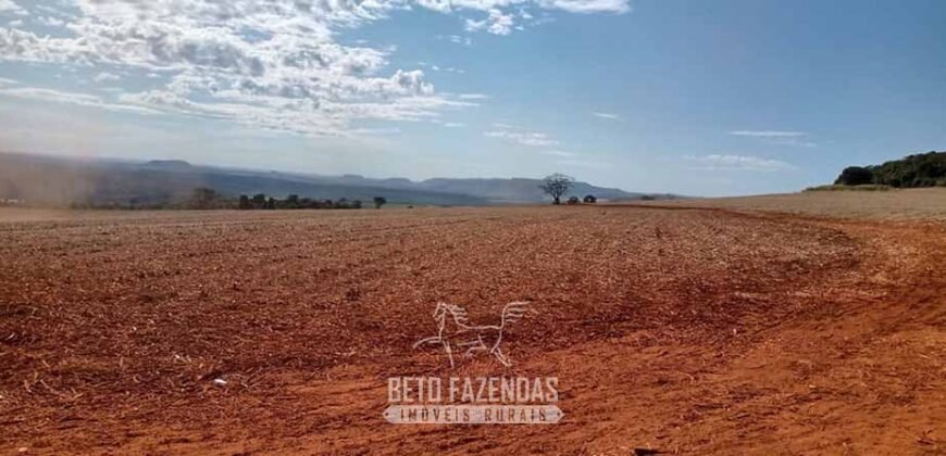 Fazenda para Investimento 735 Hectares Toda em Cana-de-Açúcar | Ribeirão Preto/SP