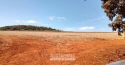 Fazenda para Investimento 735 Hectares Toda em Cana-de-Açúcar | Ribeirão Preto/SP