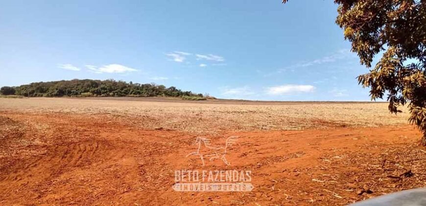 Fazenda para Investimento 735 Hectares Toda em Cana-de-Açúcar | Ribeirão Preto/SP