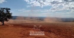Fazenda para Investimento 735 Hectares Toda em Cana-de-Açúcar | Ribeirão Preto/SP