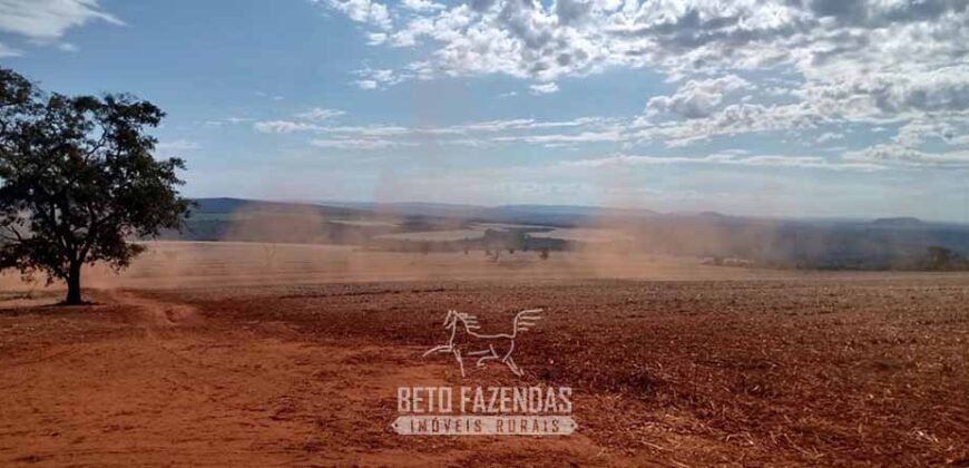 Fazenda para Investimento 735 Hectares Toda em Cana-de-Açúcar | Ribeirão Preto/SP