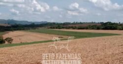 Fazenda para Investimento 735 Hectares Toda em Cana-de-Açúcar | Ribeirão Preto/SP