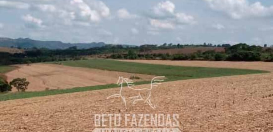 Fazenda para Investimento 735 Hectares Toda em Cana-de-Açúcar | Ribeirão Preto/SP