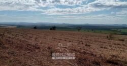 Fazenda para Investimento 735 Hectares Toda em Cana-de-Açúcar | Ribeirão Preto/SP
