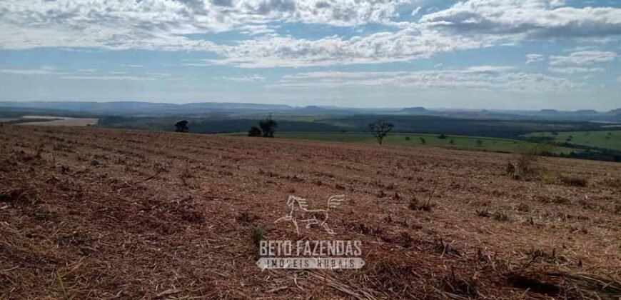 Fazenda para Investimento 735 Hectares Toda em Cana-de-Açúcar | Ribeirão Preto/SP