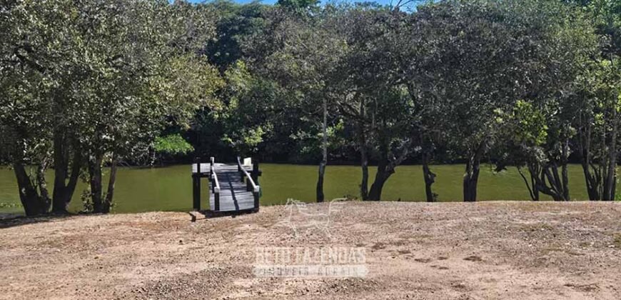 Fazenda à Venda 985 hectares Investimento no Agronegócio | Serra Nova Dourada/MT
