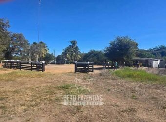 Fazenda à Venda 985 hectares Investimento no Agronegócio | Serra Nova Dourada/MT Fazenda à Venda 985 hectares Investimento no Agronegócio | Serra Nova Dourada/MT