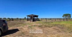Fazenda à Venda 985 hectares Investimento no Agronegócio | Serra Nova Dourada/MT