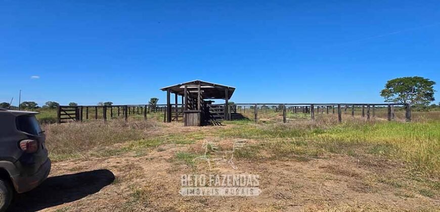 Fazenda à Venda 985 hectares Investimento no Agronegócio | Serra Nova Dourada/MT